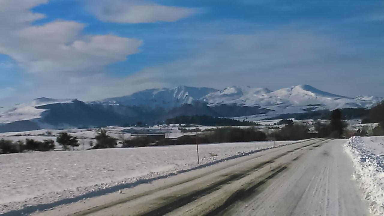Tulipe, Appartement 5 Personnes, Entre Sancy Et Volcans D'Auvergne 오르시발 외부 사진