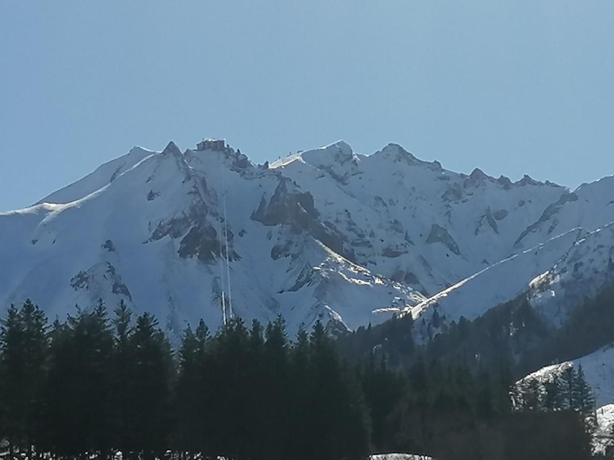Tulipe, Appartement 5 Personnes, Entre Sancy Et Volcans D'Auvergne 오르시발 외부 사진