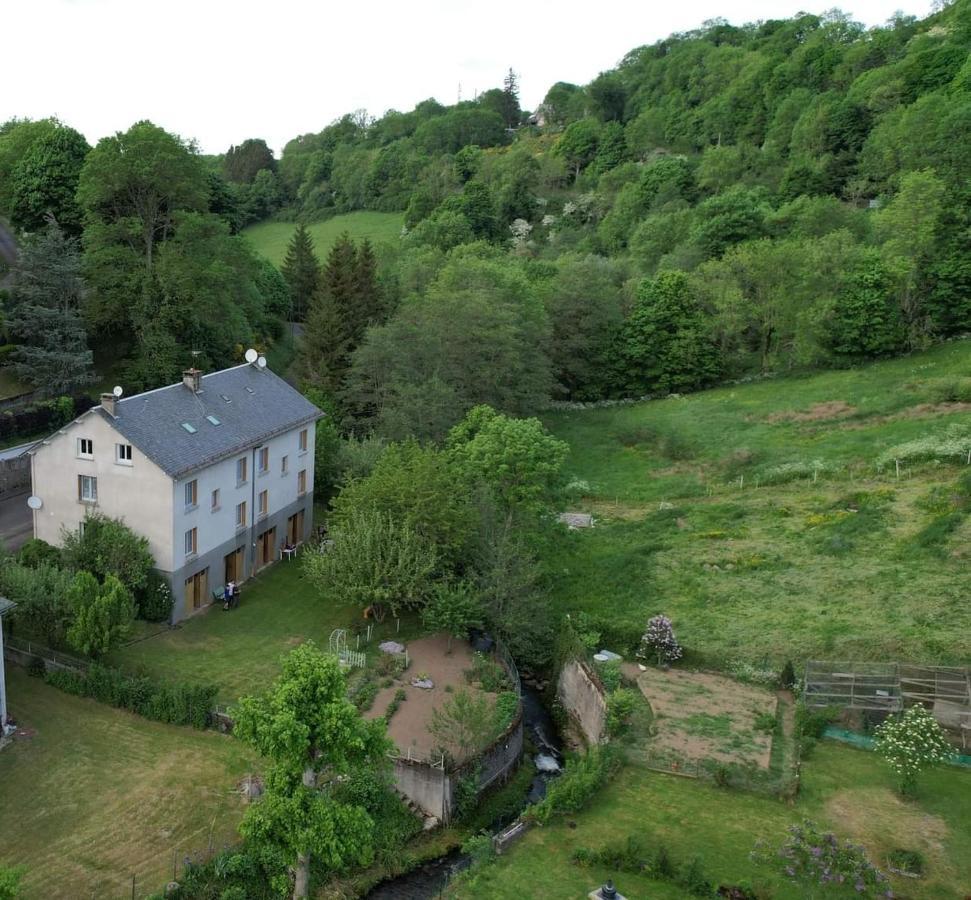 Tulipe, Appartement 5 Personnes, Entre Sancy Et Volcans D'Auvergne 오르시발 외부 사진