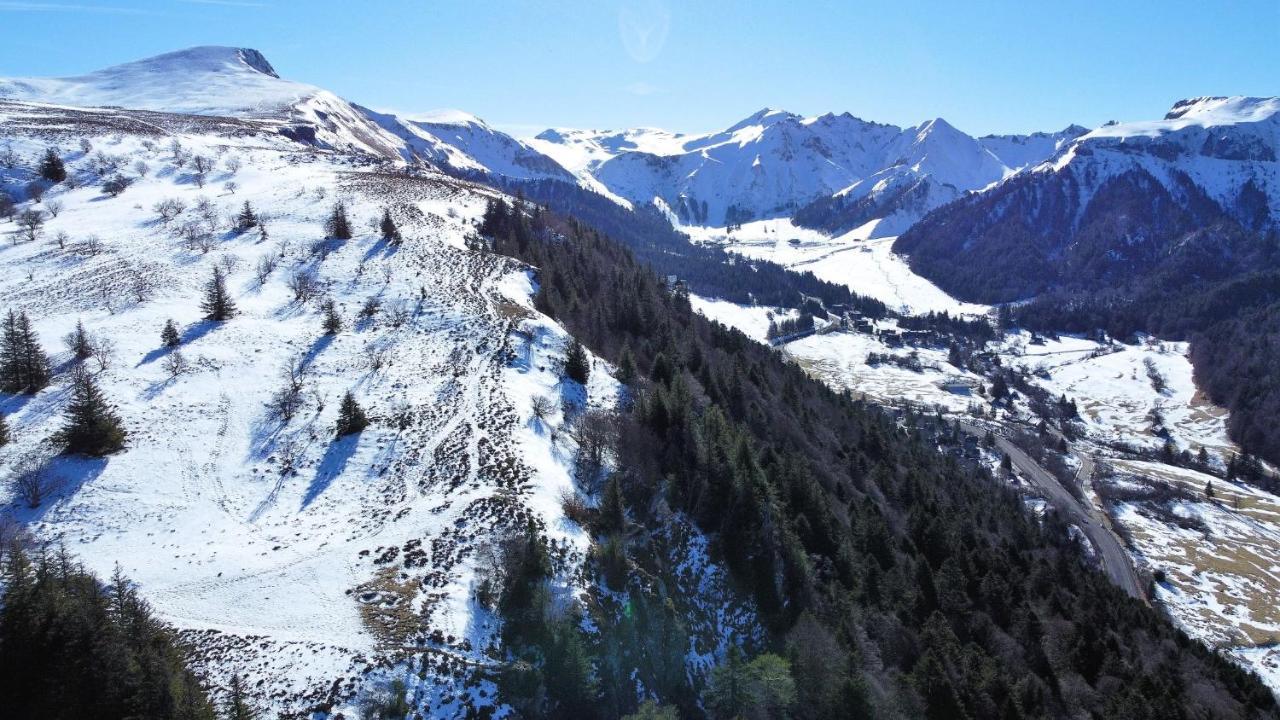 Tulipe, Appartement 5 Personnes, Entre Sancy Et Volcans D'Auvergne 오르시발 외부 사진