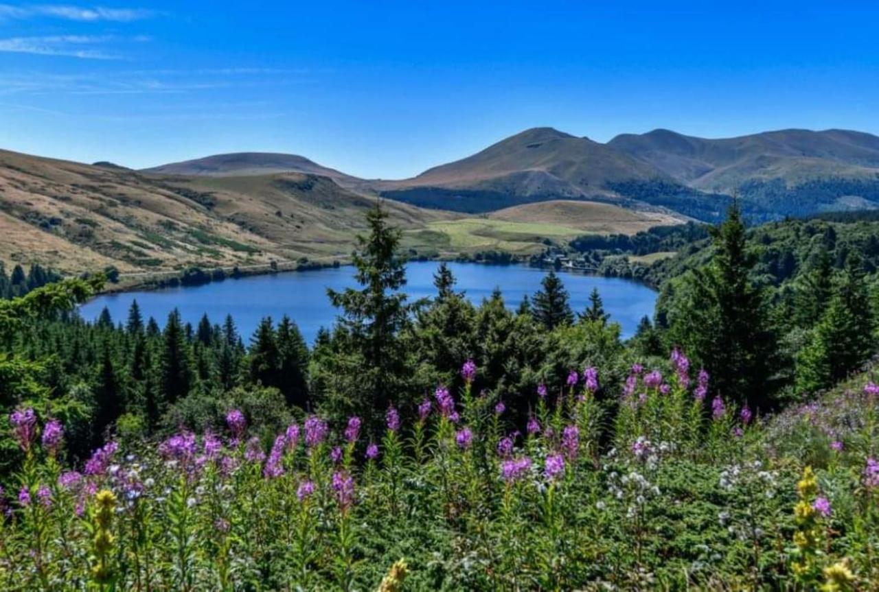 Tulipe, Appartement 5 Personnes, Entre Sancy Et Volcans D'Auvergne 오르시발 외부 사진