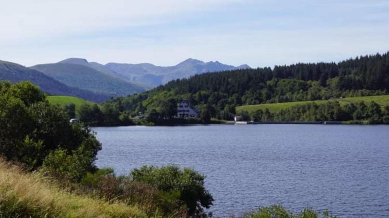 Tulipe, Appartement 5 Personnes, Entre Sancy Et Volcans D'Auvergne 오르시발 외부 사진